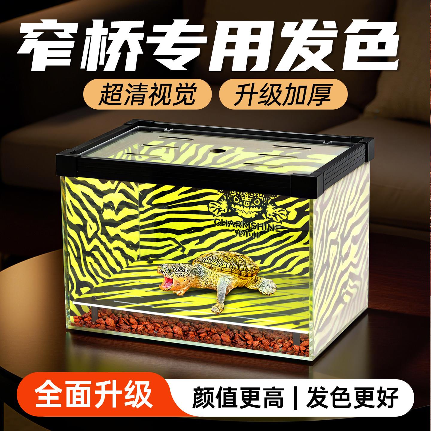 窄桥饲养盒家用育龟苗隔离盒蛋龟鳄龟发色盒底滤可视周转箱乌龟缸