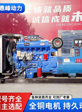 潍坊150k柴油发电机养殖场停电wW备用30K50kw100KW2潍坊30kw00千