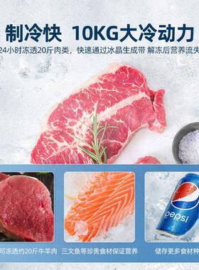 小冰柜家用房卧直式冰柜双门双温小大NCZ容型租量厂家销