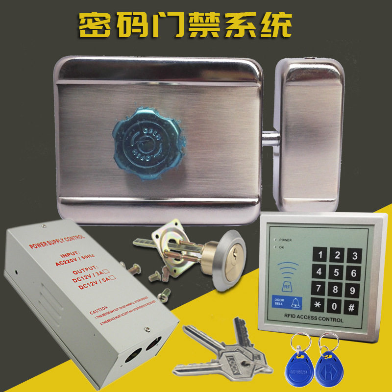12V静音刷卡密码门禁锁套装