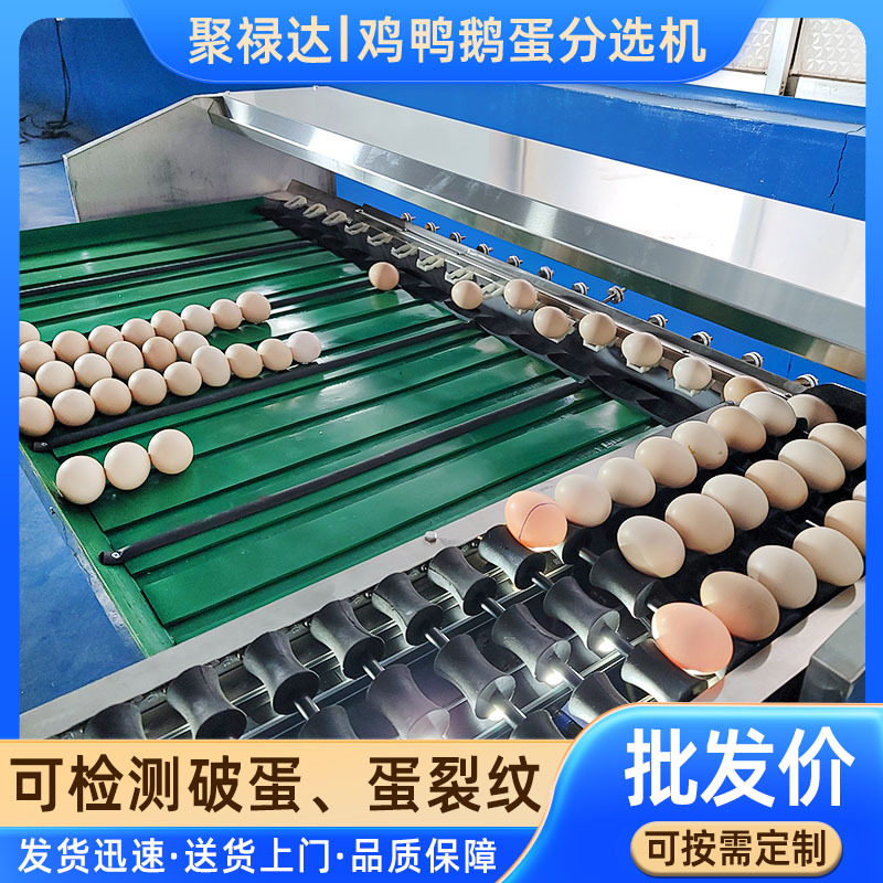 养殖场不锈钢蛋类称重分拣机