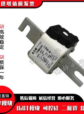 170M4238170M423M19170OYU4240170M424170M4242熔断器型号齐全