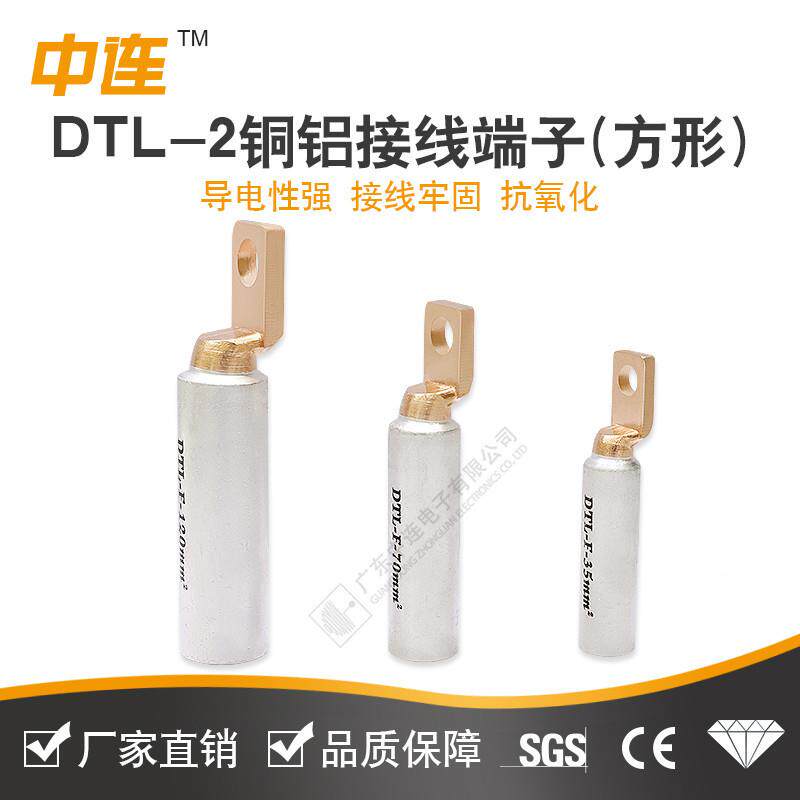 中连光DT过876L-2铜铝鼻子方形线耳渡接线伏断路器50/70平鸭方嘴