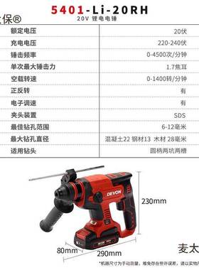 大有20V无刷充电式锂电电锤5401三用多功能电镐冲击钻套装麦太保