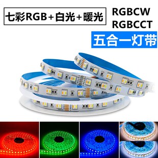 RGB五合一灯带rgbcw七彩 白暖双色智能rgbcct可调色LED灯条12v24V