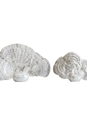 灵芝摆件工艺品中式家居创意酒柜装饰品摆件客厅吉祥物陶瓷小摆设