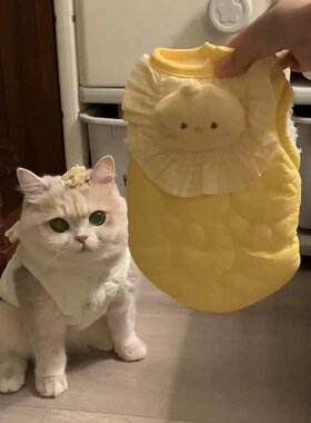 猫咪冬季保暖衣服毛绒防掉毛背心狗狗可爱造型马甲宠物加绒棉衣