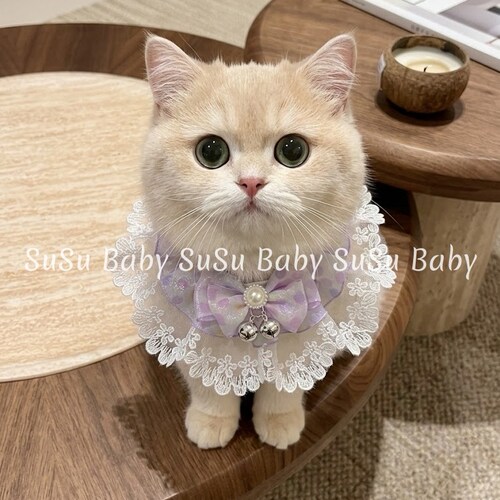 猫咪狗狗围脖夏季项圈口水巾饰品