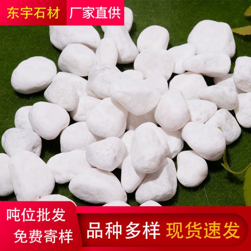 厂家庭院铺路造景白石子雪花白鹅卵石砾石水磨石鱼缸小石子