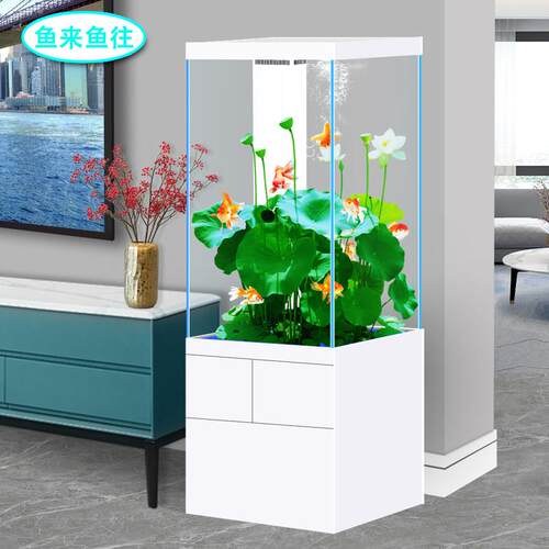 鱼缸客厅2025新款立式一体底滤小型超白玻璃落地家用原生态溪流缸