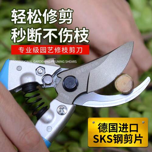 绿化家用修枝剪修花木园林工具园艺剪刀果树剪子粗枝剪花剪树枝剪