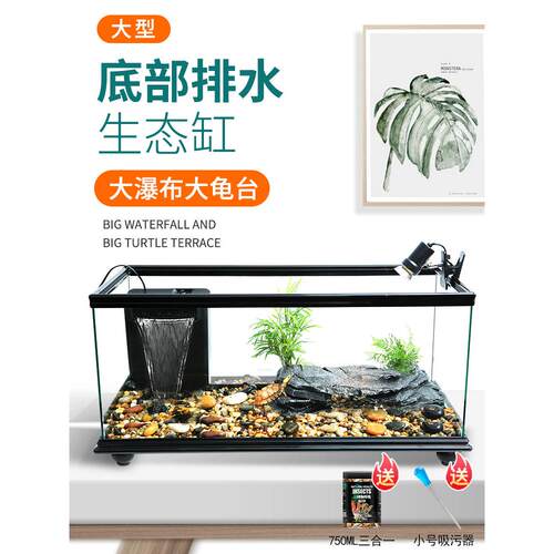 带阳光露台的大底排水龟缸，无需换水，玻璃龟鱼缸，生态养殖箱，