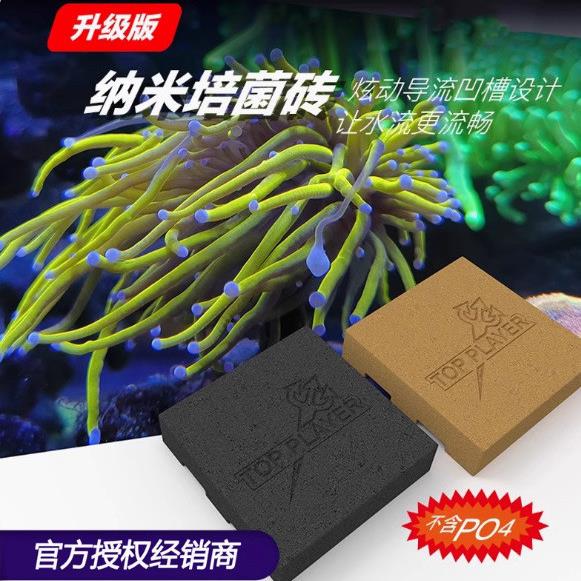 顶J玩家神砖纳米培菌砖过滤高透水淡海水鱼缸滤材硝化细菌屋无PO4