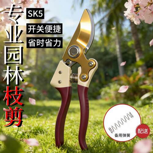 枝剪刀原装高档进口修枝剪强力大号园林果树粗树枝剪子园艺专用剪