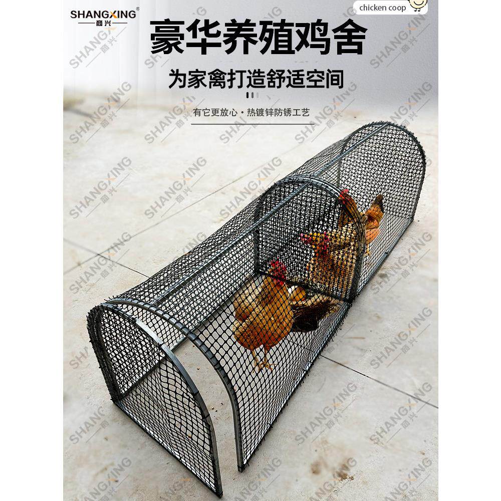 户外养鸡棚网围栏家用可折叠鸡笼子跑道走地鸡隧道室外大型塑料网
