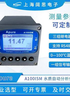 水质自动分析仪A100ISM工业在线水质检测仪溶解氧浊度监测仪