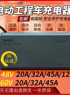 工程工地电动翻斗车手推电瓶车智能养护充电器48V12A20A32A60V45A