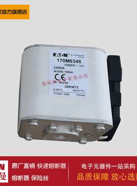 熔断器170M6364 170M6365 170M6366 170M6367 170M6368 170M6426