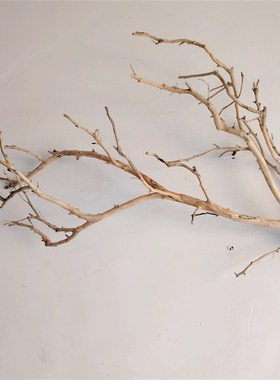吊灯干枝分枝干树枝装饰树干枯枝室内天花板挂灯插花挂件舞台摆件