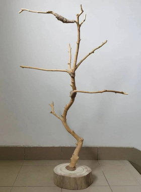 干树枝原木树杈鸟架造型实木落地灯架干枯枝艺术龙骨吊顶衣架装饰