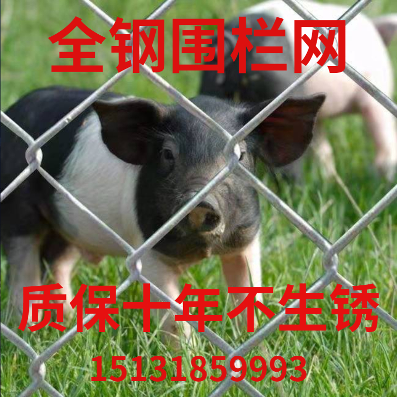 铁丝网围栏养殖圈地拦鸡羊牛菜园果园池塘菱形勾花网热镀锌钢丝网