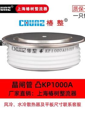 厂K家KP可控软启动平板凸型P2硅ZUG00A500A100A0中频炉晶闸管大功