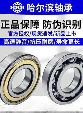 哈尔滨轴承机6314DRC6315631663高176318专6319带封电用速