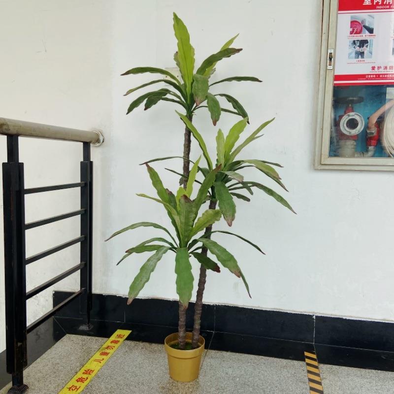 带仿真令多肉盆栽地盆景箭荷热FKV叶民宿园艺景观绿植装落饰摆件