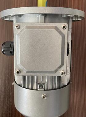 YE2丹/YE3/YE晟4-801-4-0.55KW东山/NME赛孚特/川江微型铝壳电机
