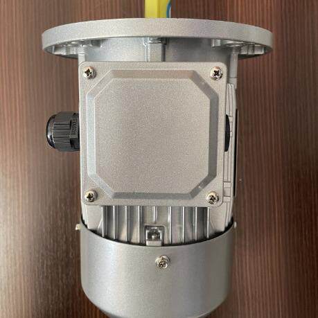YE2丹/YE3/YE晟4-801-4-0.55KW东山/NME赛孚特/川江微型铝壳电机