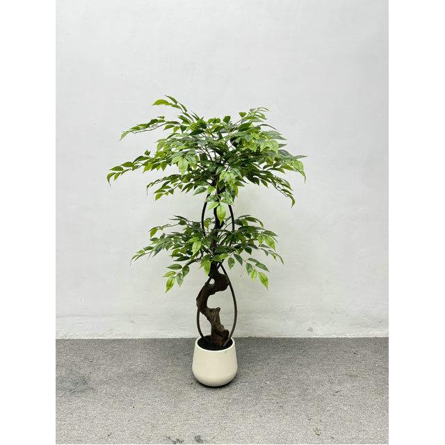 大盆栽绿真盆植仿03小叶榕过江榕客厅公开业招财树办室栽异形榕树