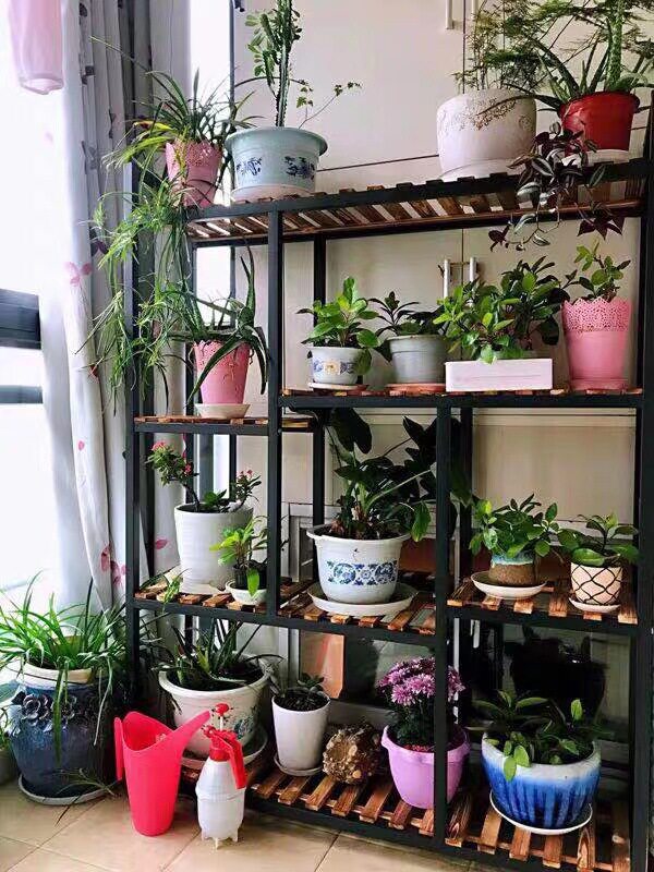 简约室内实木花架花店多层展示架货架客厅阳台绿萝花盆架子落地式