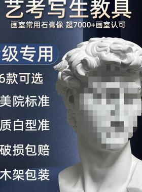 石膏大小卫石膏像摆件JOF美术教具维纳斯像卫海美盗欧装饰品雕塑