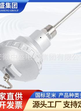 铠装热电阻WZPK2-740NM L=1650mm法兰160φ20PT100钨钴合金长1.6m