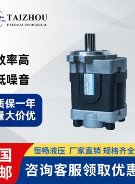 全国包邮日本岛津Shimadzu抗冲击叉车起重机液压齿轮油泵KZP系列