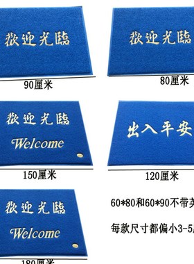 蓝色门垫丝圈家用进门口防滑垫入户除尘地垫塑料地毯出入平安门垫