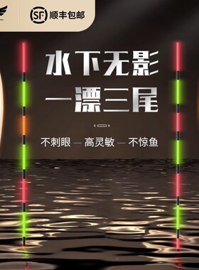 梦者电子漂芦苇夜光漂高灵敏日夜两用柔光高亮不花眼醒目夜钓浮漂