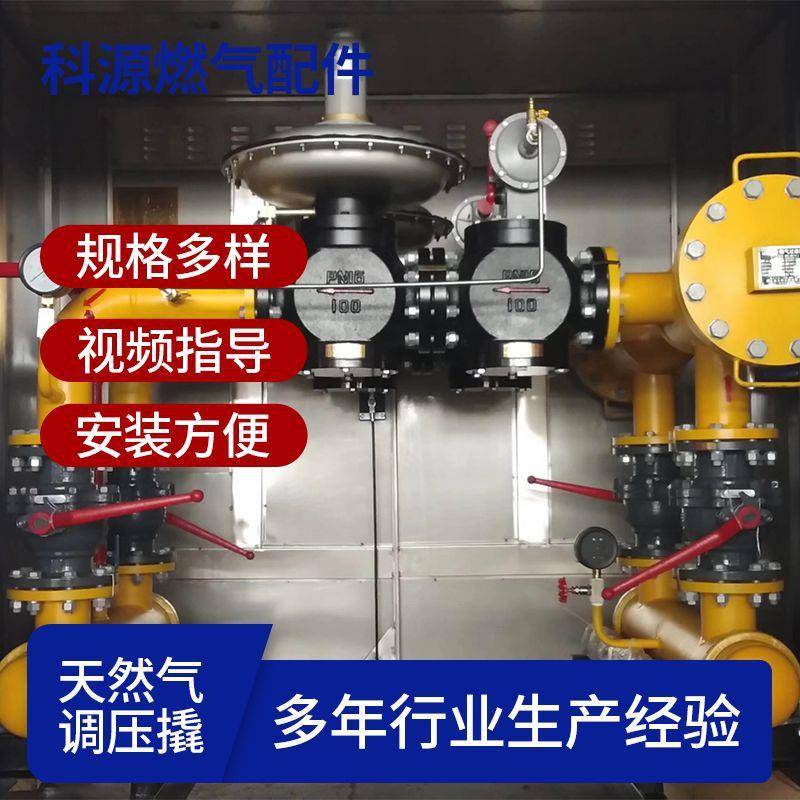 天然气调压撬LNG气化撬计量撬汽化器不熄火低压型天然气撬装设备