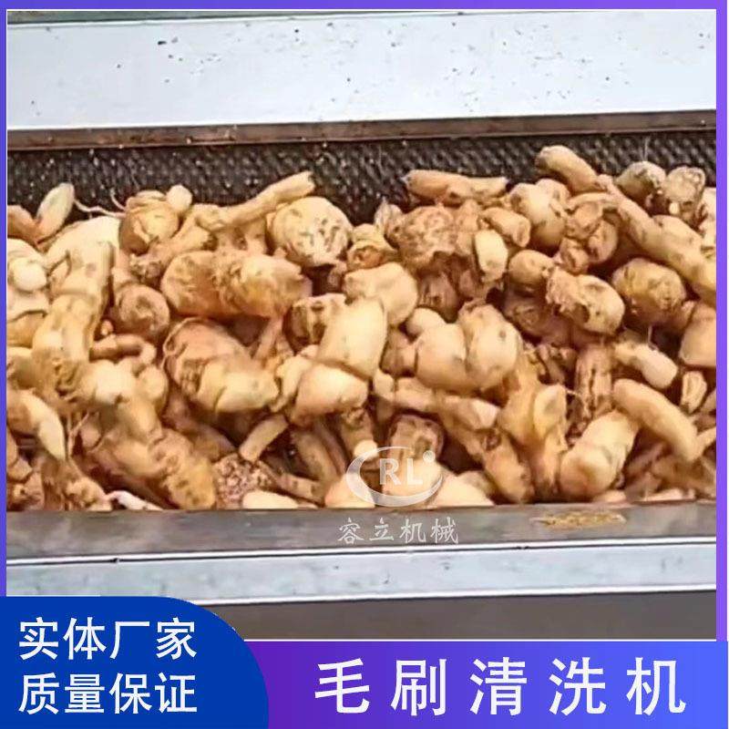 毛刷式白芨三七清洗机辊刷式天冬清洗去泥机商用中药材清洗机,清洗/食品/商业设备,其他食品加工设备,淘宝优惠券,粉丝福利购,淘宝优惠卷