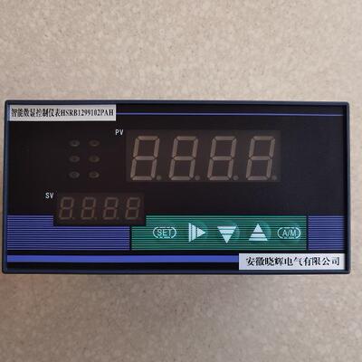 HSRB1299102PAH智能数显控制仪