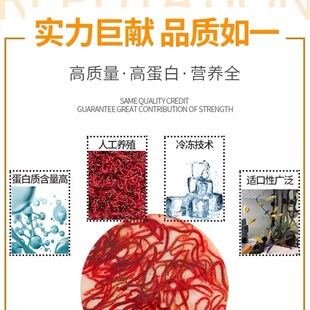 鱼食六角恐龙鱼饲料六角龙娃娃鱼蝾螈六六下沉底栖鱼红虫鱼食