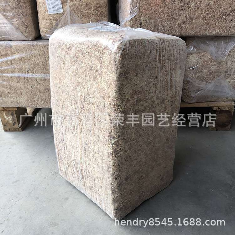 智利5星红草 干水苔 干苔藓 水草 爬虫 兰花 微景观 食虫植物用