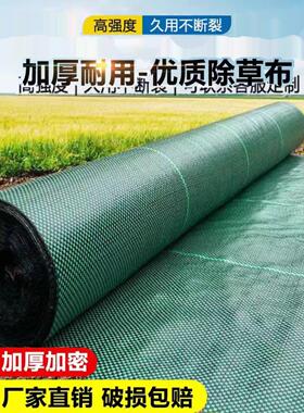 防草布除草布耐用加厚庭院果园艺地布地膜厂家直销新型生态黑绿色