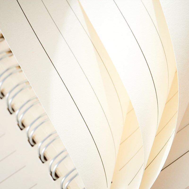 sfeng顺风 笔记本子a5简约加厚大学生学习日记多功能商务个性创意