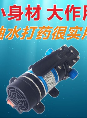 高压果树打药水泵家用便携大功率电动隔膜泵直流自吸12V24V100W
