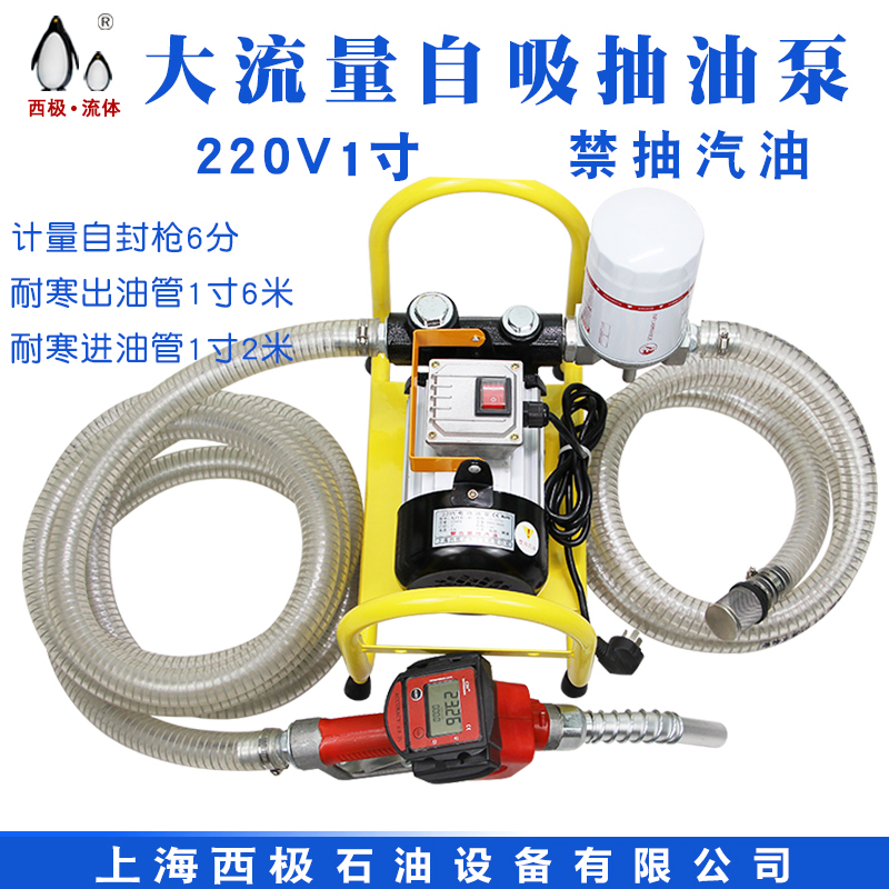 电动抽油泵加油泵柴油v2v伏大流量小型大功率怪手自吸油泵