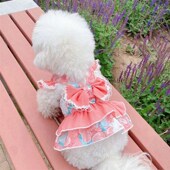 2023新款 狗狗牵引绳宠物胸背猫咪公主裙小型犬裙子比熊泰迪背带