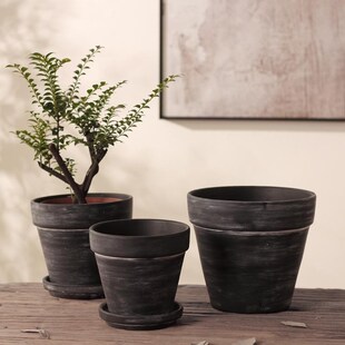 侘寂风黑色多孔花盆蝴蝶兰花盆器庭院阳台绿植物透气粗陶盆带托盘