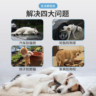 驱狗尿神器长效室外防止狗狗乱尿拉驱猫狗神器汽车轮胎专用驱狗剂