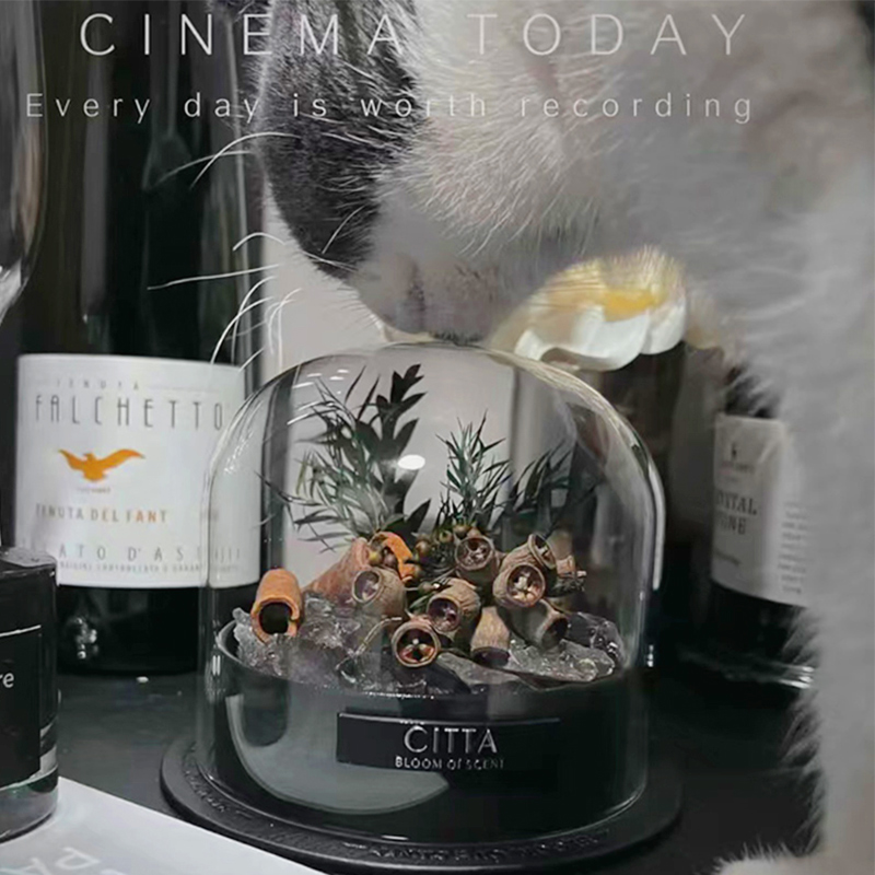 CITTA/西苔香薰扩香石礼盒晶石小众高级感香氛摆件卧室男生日礼物